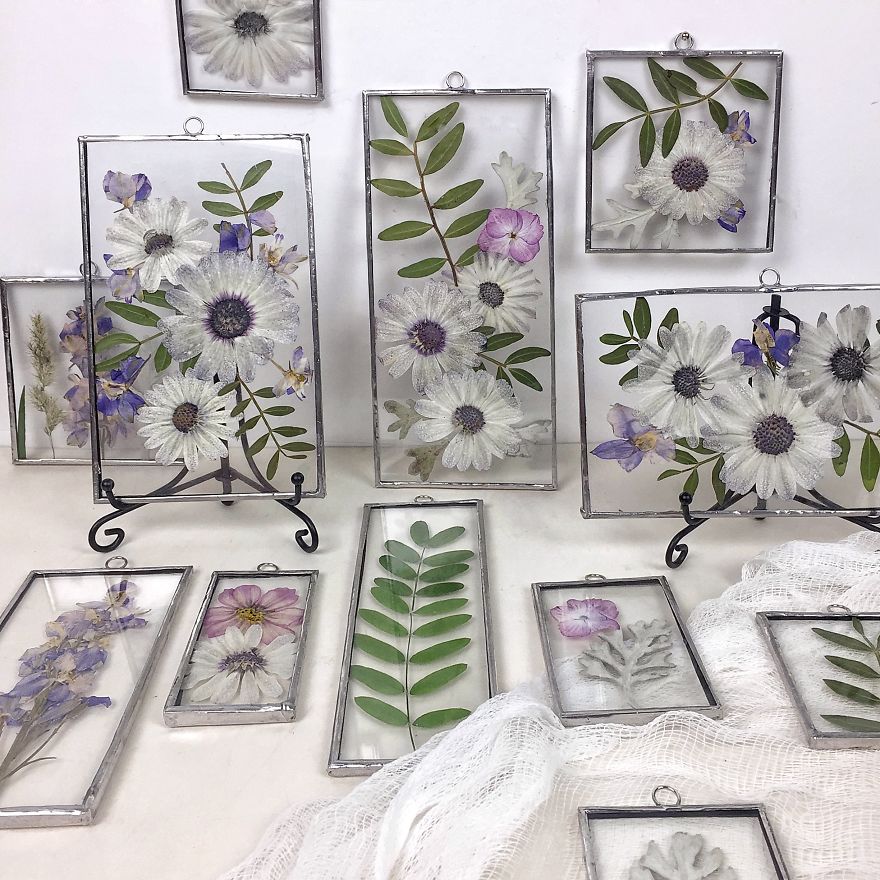 Flowers In My Life: How I Learned Many New Things Thanks To One New Hobby