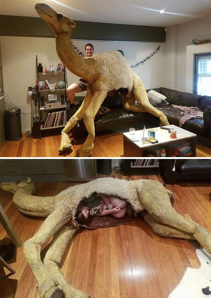 Picked Up For Free From National Geographic. Was Made For A Demonstration With Bear Grylls