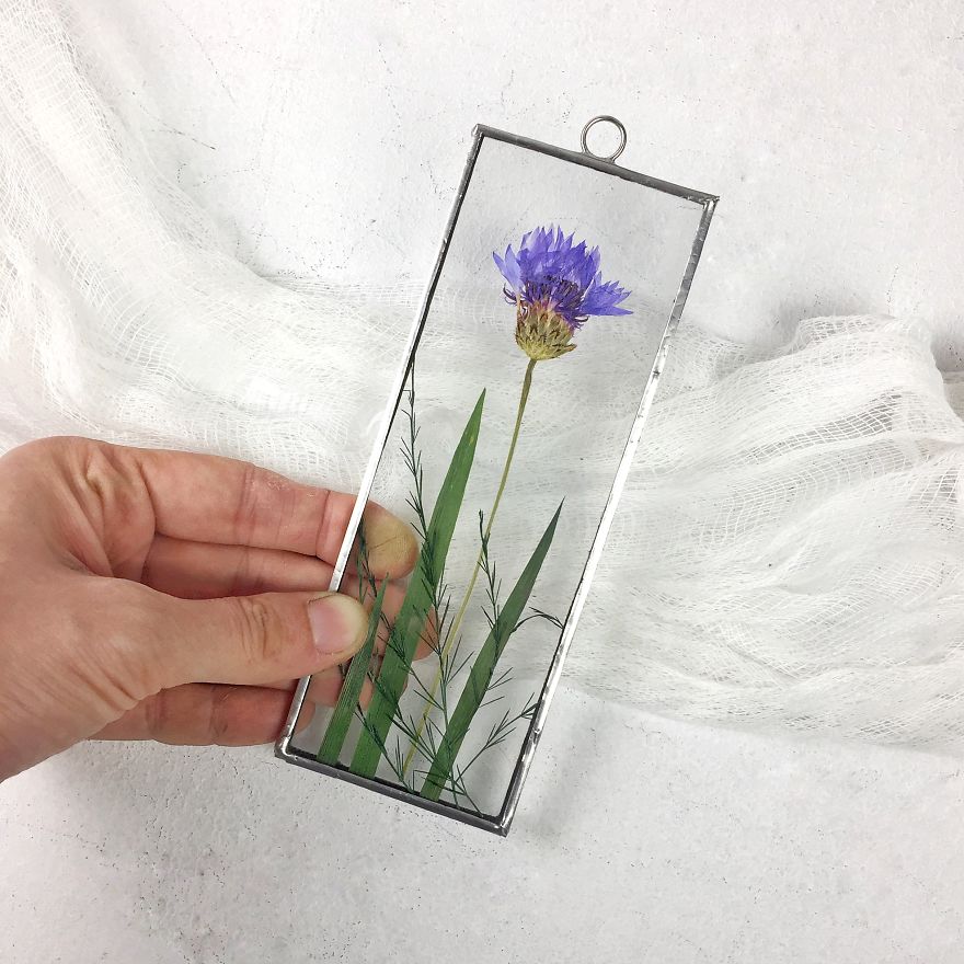 Flowers In My Life: How I Learned Many New Things Thanks To One New Hobby