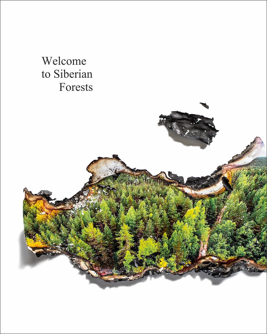 Siberian Forests Are On Fire And I Can‘t Be Silent, So I Created A Series Of Posters Siberian Forests Are On Fire And I Can‘t Be Silent, So I Created A Series Of Posters