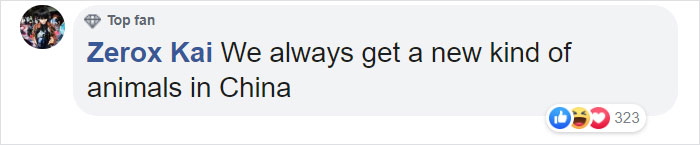 Tourists Throw Rocks At Panda Because They're Bored She's Sleeping