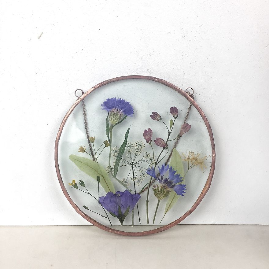 Flowers In My Life: How I Learned Many New Things Thanks To One New Hobby