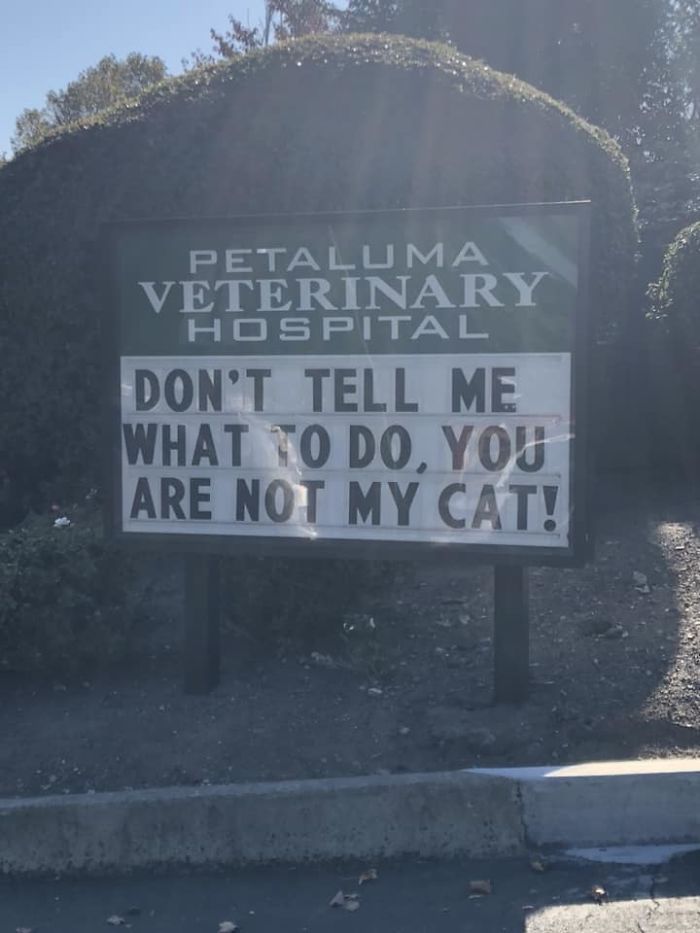 Petaluma Veterinary Hospital sign with a funny cat joke saying you are not my cat on their outdoor display board.