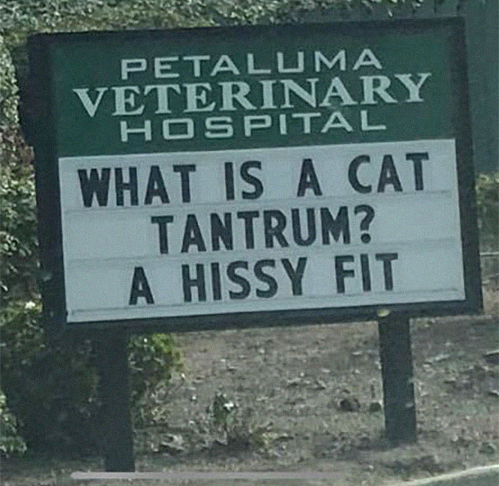 Vet clinic sign with a funny cat joke about a cat tantrum described as a hissy fit, one of the funniest cat jokes from vet clinics.