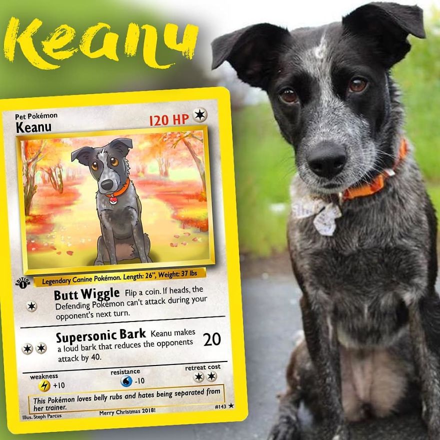 This Artist Transforms Any Pet Into Pokémon Cards