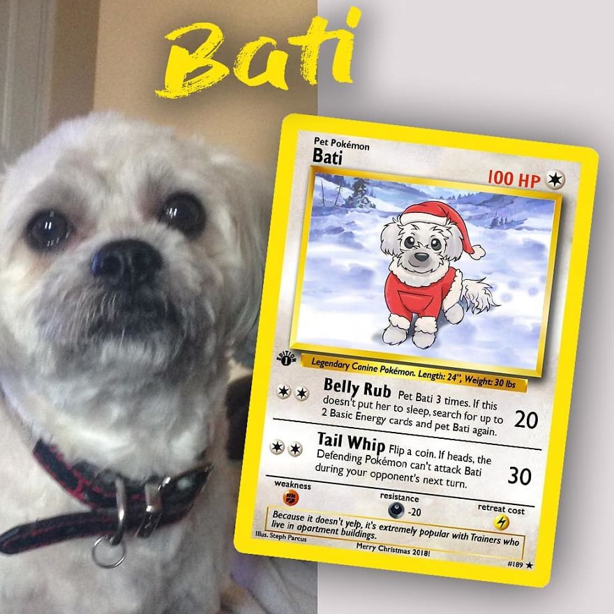 This Artist Transforms Any Pet Into Pokémon Cards