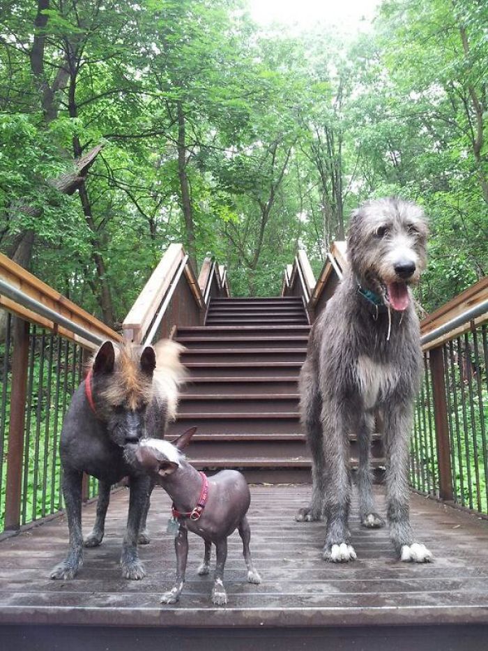 I'm Jealous Of Their Naked Skin, And All Things They Do With It