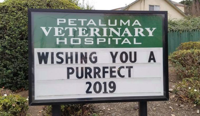 Funny Vet Clinics Signs About Cats Funny-Cat-Veterinary-Clinic-Signs