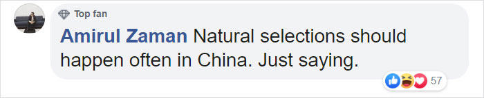 Tourists Throw Rocks At Panda Because They're Bored She's Sleeping Tourists Throw Rocks At Panda Because They're Bored She's Sleeping