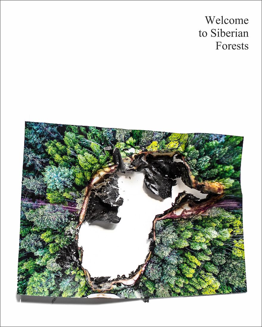 Siberian Forests Are On Fire And I Can‘t Be Silent, So I Created A Series Of Posters