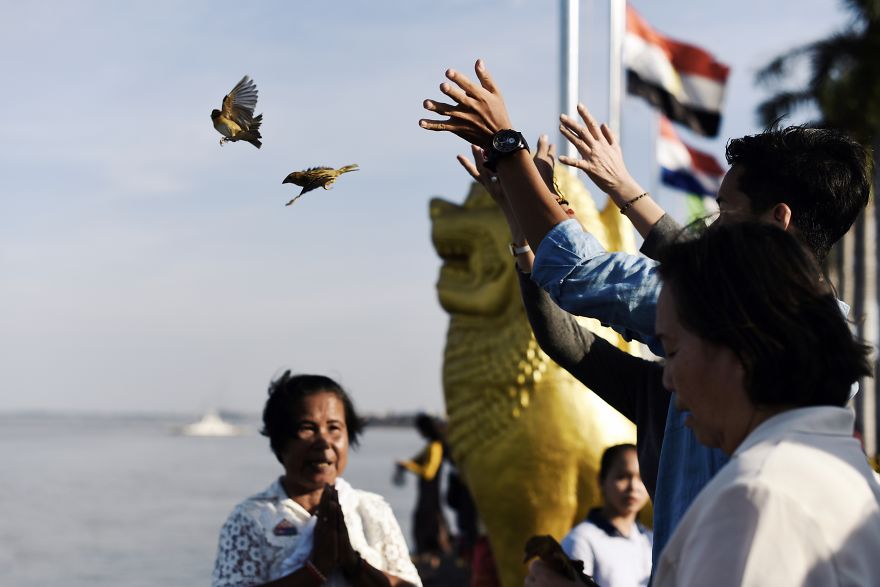 Releasing Birds For Hope