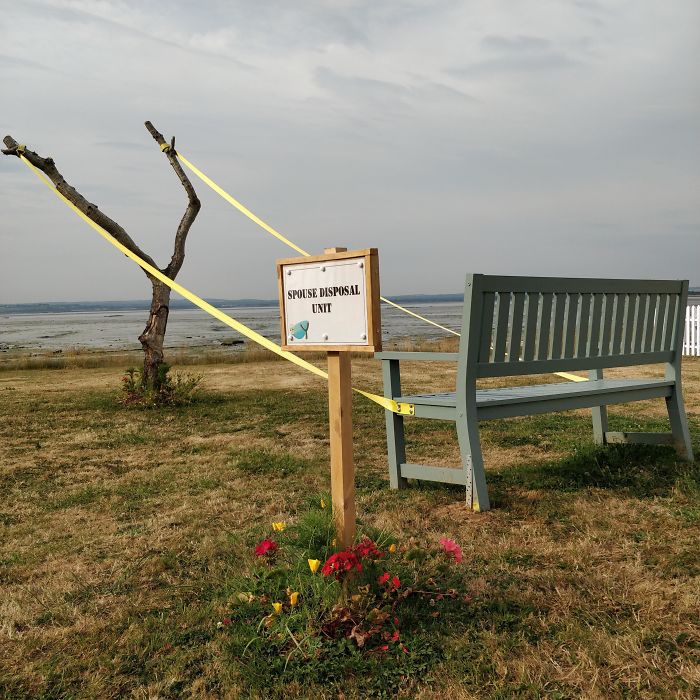 Saw This In The Hotel Grounds Where I Was Working