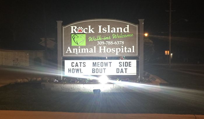 Funny Vet Clinics Signs About Cats Funny-Cat-Veterinary-Clinic-Signs