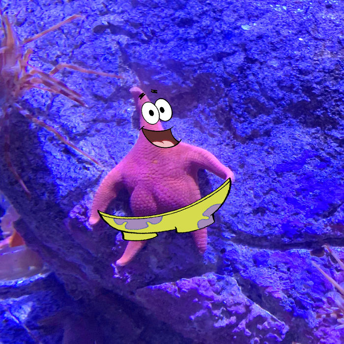 Patrick-Starfish-Photoshop-Battle