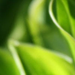 katarzynazawadzka avatar