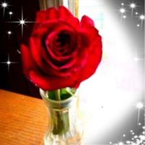 luvs64roses avatar