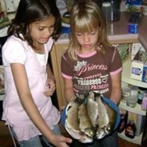 anita_kowalzyk avatar