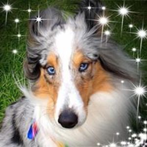 nicoladunning avatar