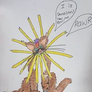 bobcatprincess1 avatar