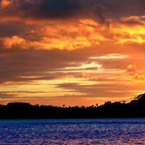 vanalstinej1959 avatar