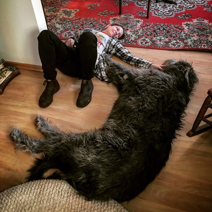 Took Care Of My Aunt’s Puppy For A Few Days