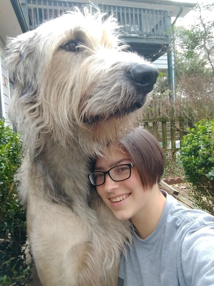 Tormaigh Loves His Mommy!