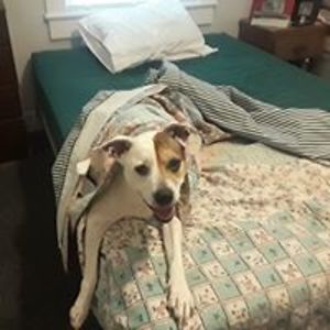 barbara_f_duke avatar