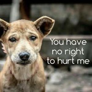 kathleen_michaels avatar