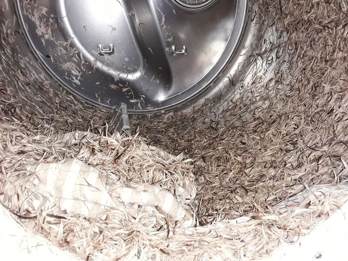 My Pillow Said "Washing Machine And Dryer Safe" I Open Up My Dryer To This