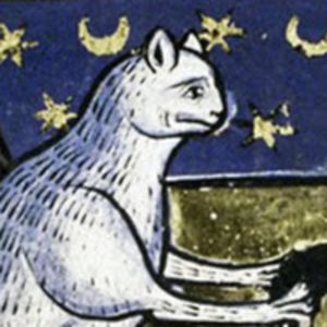 pipersmythe_1 avatar