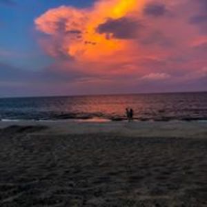 allegra_nienart avatar