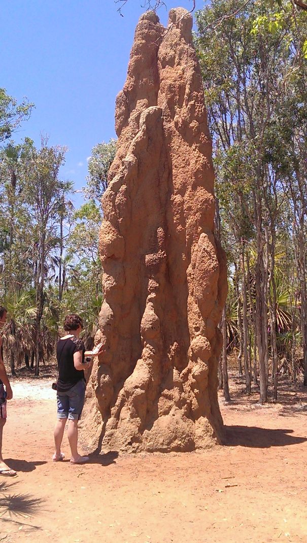 Large termite mound in Australia with people for scale, showcasing the land of "Nope."