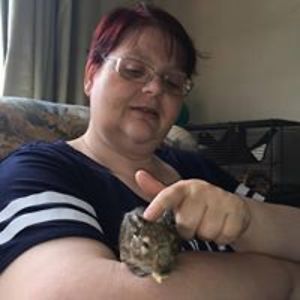 madhamsterlady01 avatar