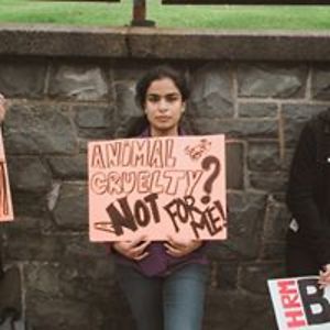 sukritichopra avatar