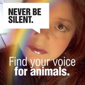 jacinthaarcher9 avatar