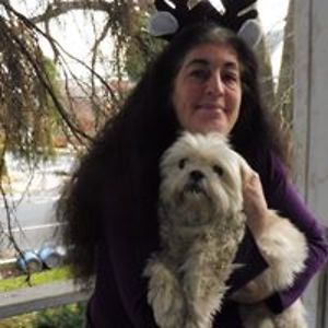 debbiebregman22 avatar