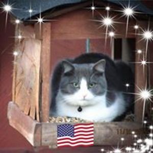 carron_woodrum123 avatar