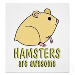 piglet_is_so_cool avatar