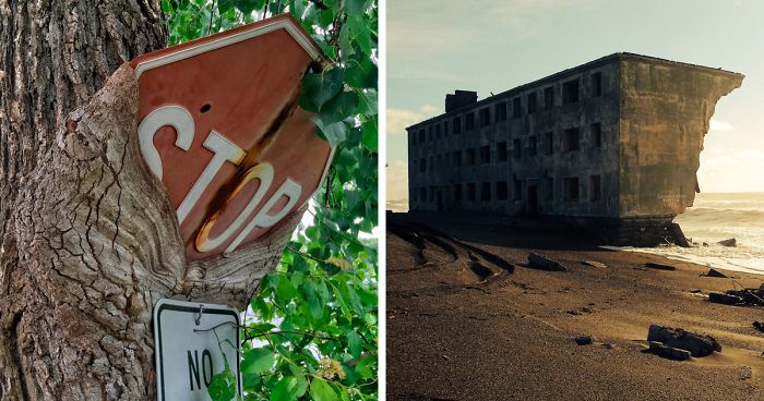 45 Times Nature Won The Battle Against Civilization (New Pics)