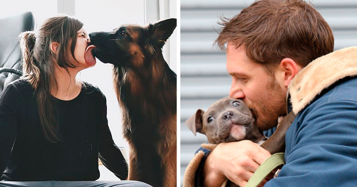Survey Finds Humans Kiss Their Dogs More Than Their Partners