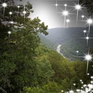 madisonmohrbacher avatar