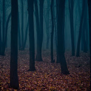 sleipnirseight avatar