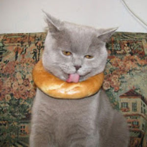 enigmaticharle avatar