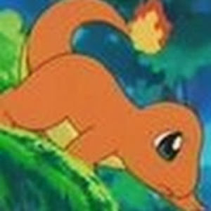 babycharmander avatar