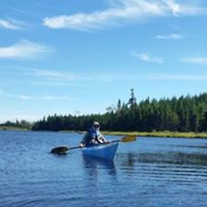 murraywarner_1 avatar