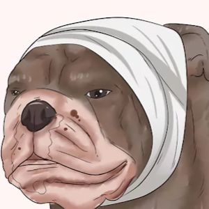 daniellecosta avatar