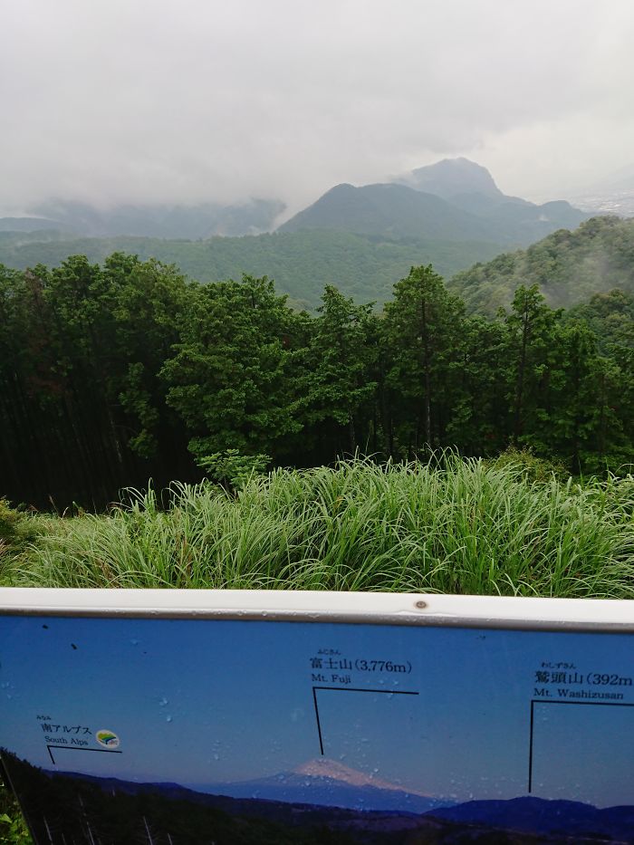 I Was Finally Able To Take Some Paid Leave, Worth Every Penny!