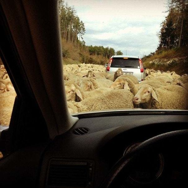 Meanwhile In Rural Bavaria, Germany