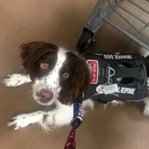 mary_thompson_1 avatar