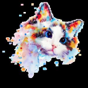 selenaelishareinheartyague avatar